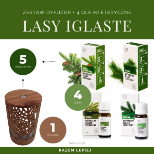 Zestaw Zapachy Lasów Iglastych: Ozdobny dyfuzor i 4 olejki eteryczne